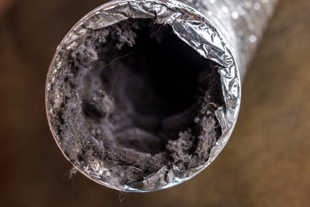 Best Best Air Duct Cleaning Near Me  in Burns, TN